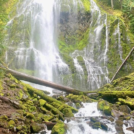 Mckenzie River Mountain Resort Blue River Zewnętrze zdjęcie