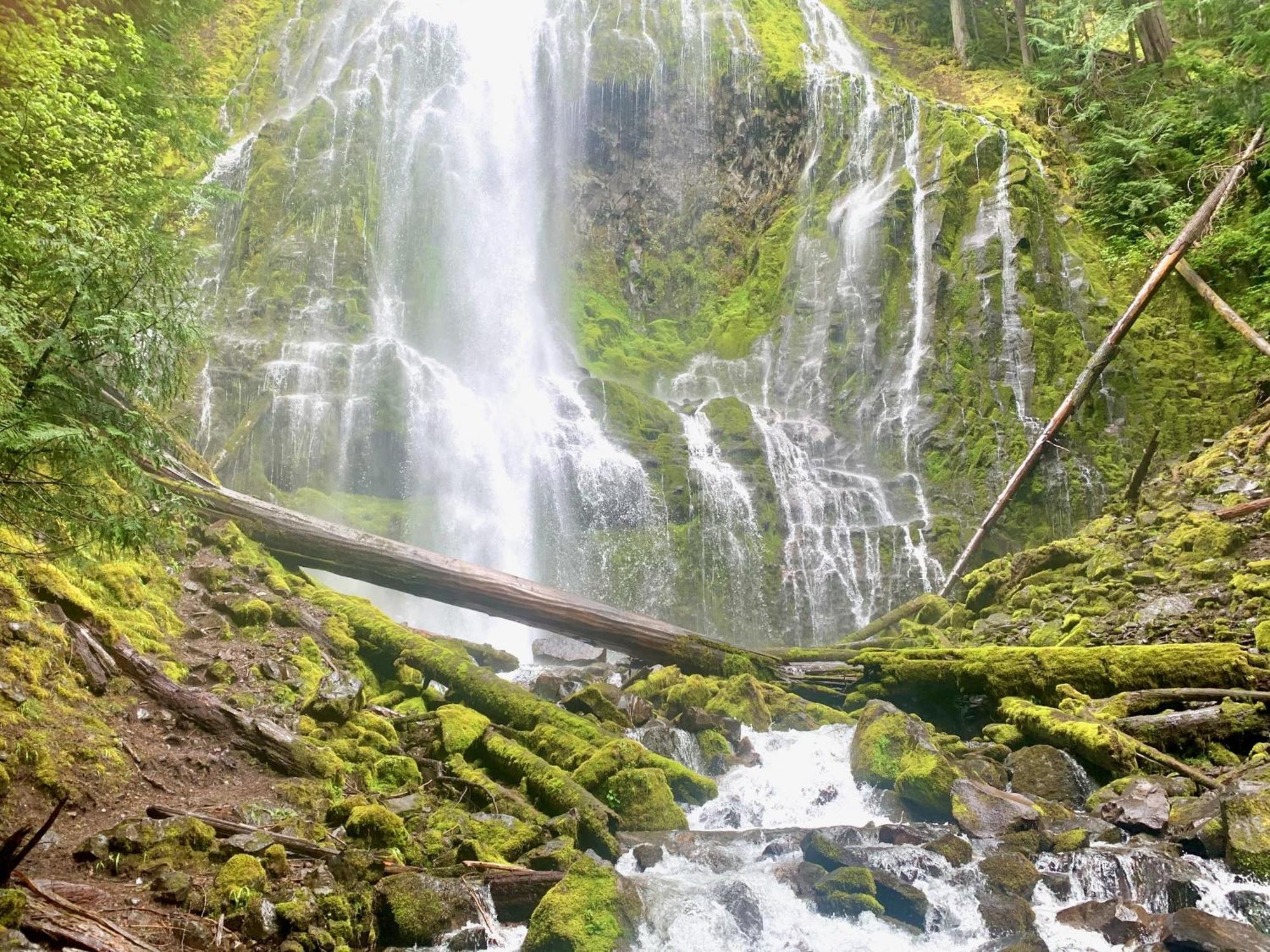 Mckenzie River Mountain Resort Blue River Zewnętrze zdjęcie